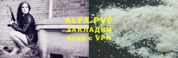 индика Бронницы