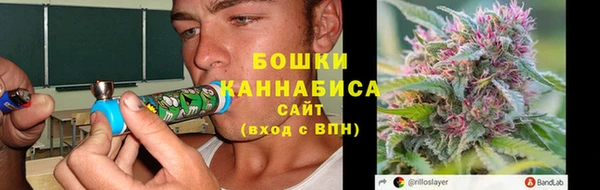 ешки Бородино
