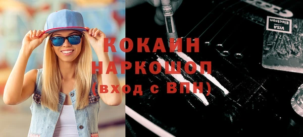 ешки Бородино