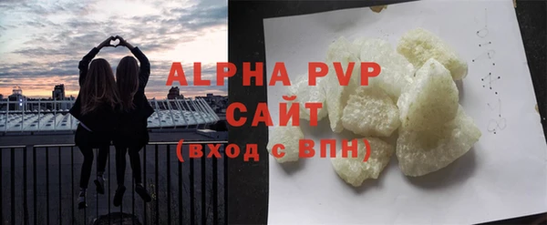 индика Бронницы