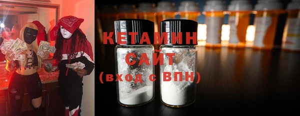 индика Бронницы