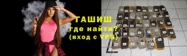 индика Бронницы