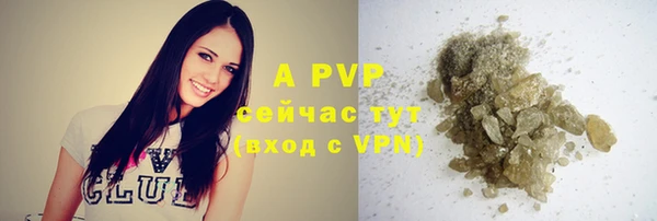 сатива Бугульма