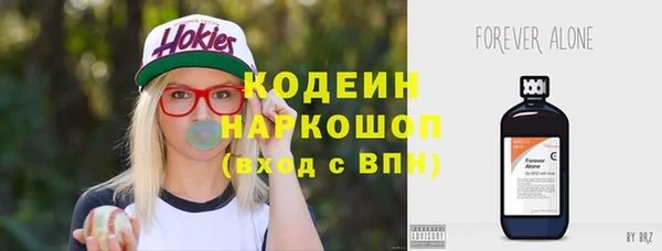 ешки Бородино