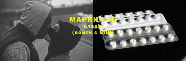 сатива Бугульма