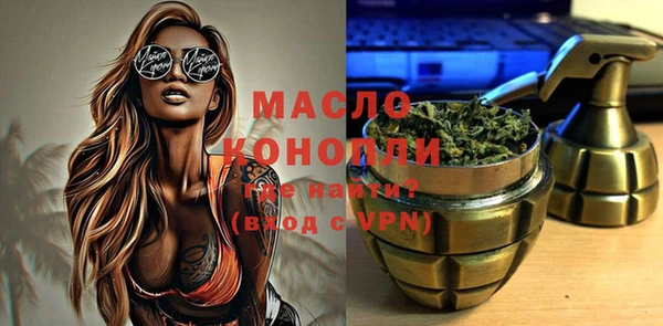 индика Бронницы