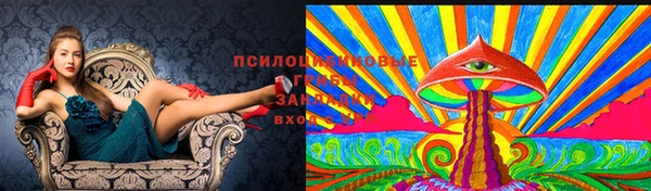 ешки Бородино