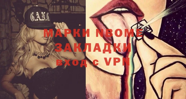 индика Бронницы