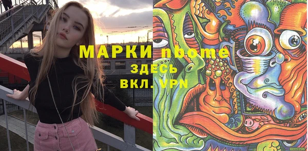 индика Бронницы