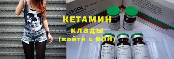 индика Бронницы