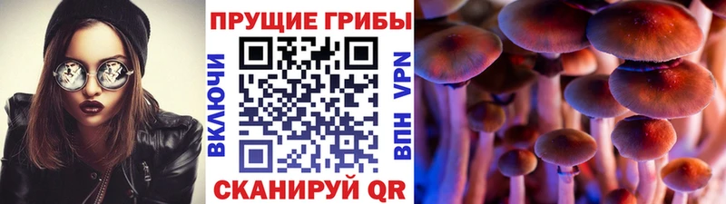 Псилоцибиновые грибы прущие грибы  Купить где  Стрежевой 